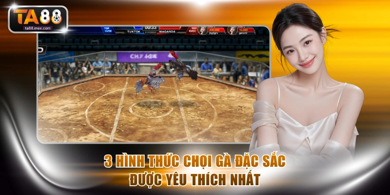 3 hình thức chọi gà đặc sắc được yêu thích nhất