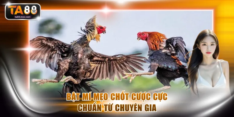 Bật mí mẹo chốt cực cực chuẩn từ chuyên gia