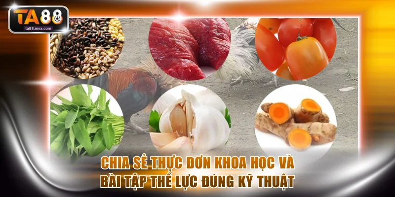 Chia sẻ thực đơn khoa học và bài tập thể lực đúng kỹ thuật