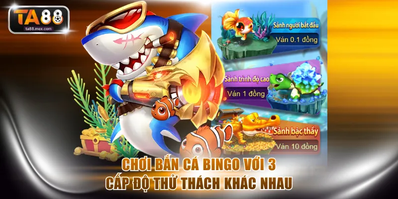 Chơi bắn cá Bingo với 3 cấp độ thử thách khác nhau