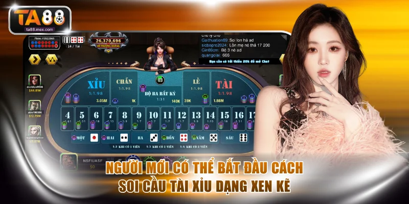 Người mới có thể bắt đầu cách soi cầu tài xỉu dạng xen kẽ