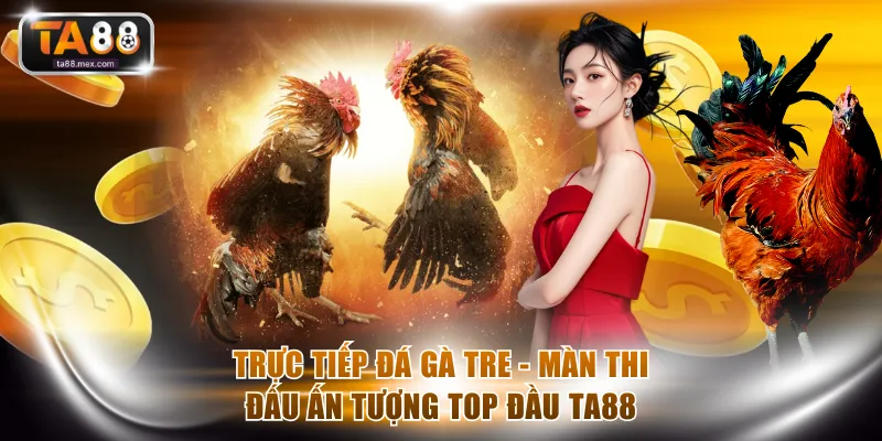 Trực tiếp đá gà tre